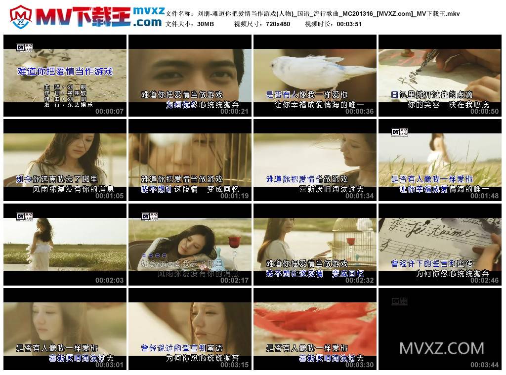 刘朋-难道你把爱情当作游戏(人物)_国语_流行歌曲_MC201316
